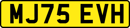 MJ75EVH