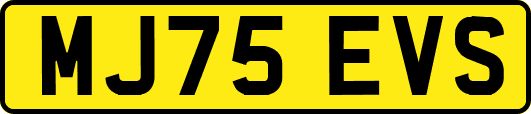 MJ75EVS