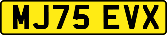MJ75EVX