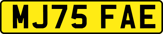 MJ75FAE