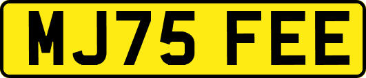 MJ75FEE