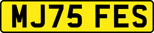 MJ75FES