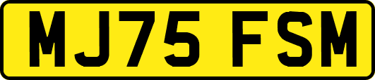 MJ75FSM