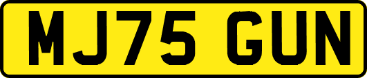 MJ75GUN