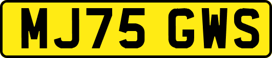 MJ75GWS