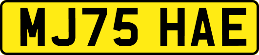 MJ75HAE