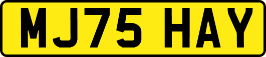 MJ75HAY