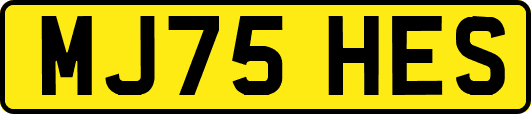 MJ75HES