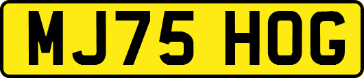 MJ75HOG