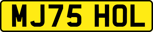 MJ75HOL
