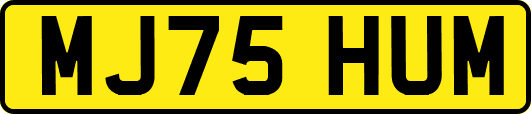 MJ75HUM