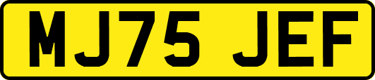 MJ75JEF