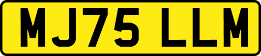 MJ75LLM