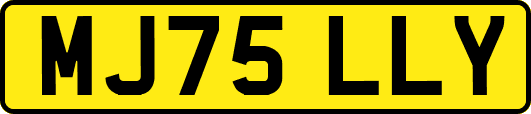 MJ75LLY