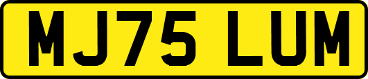 MJ75LUM