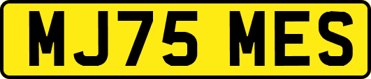 MJ75MES