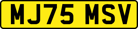 MJ75MSV