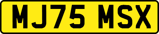 MJ75MSX