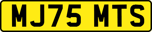 MJ75MTS
