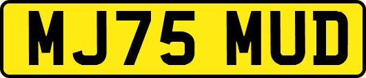 MJ75MUD