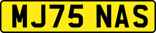 MJ75NAS