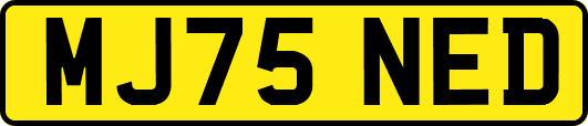 MJ75NED