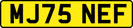 MJ75NEF