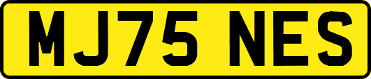 MJ75NES