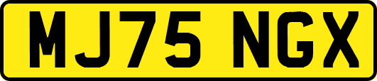MJ75NGX
