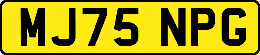 MJ75NPG