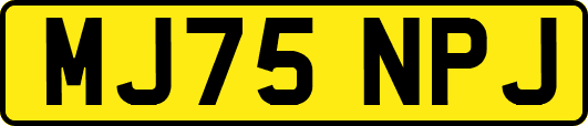 MJ75NPJ