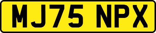 MJ75NPX