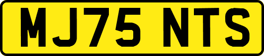 MJ75NTS