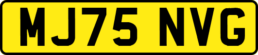 MJ75NVG