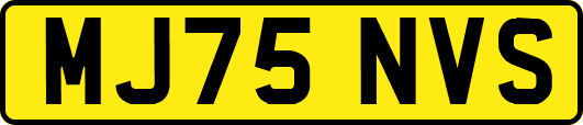 MJ75NVS