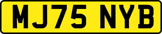 MJ75NYB