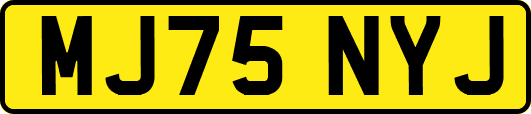 MJ75NYJ