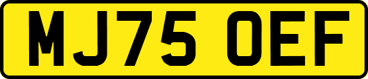 MJ75OEF