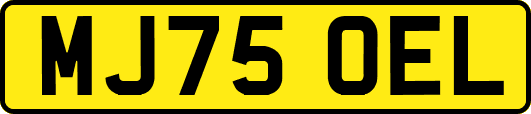 MJ75OEL