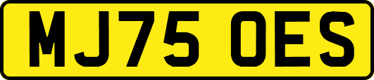MJ75OES