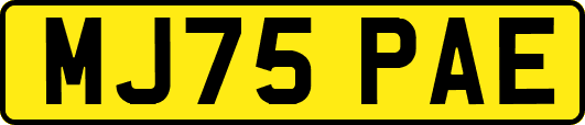 MJ75PAE