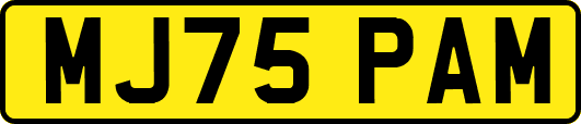 MJ75PAM