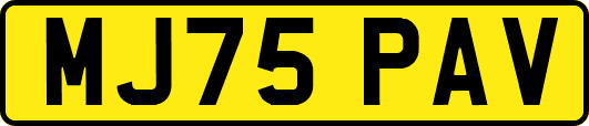 MJ75PAV