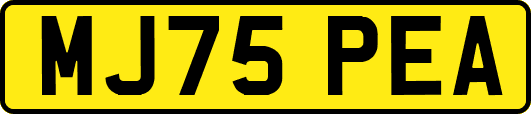 MJ75PEA