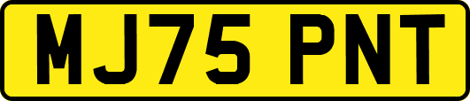 MJ75PNT