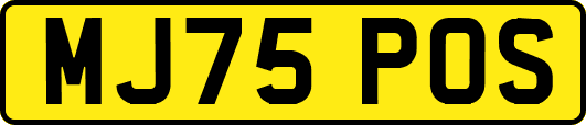 MJ75POS