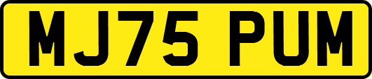 MJ75PUM