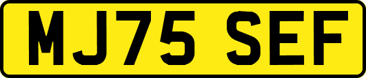 MJ75SEF