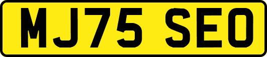 MJ75SEO