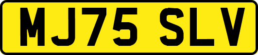 MJ75SLV